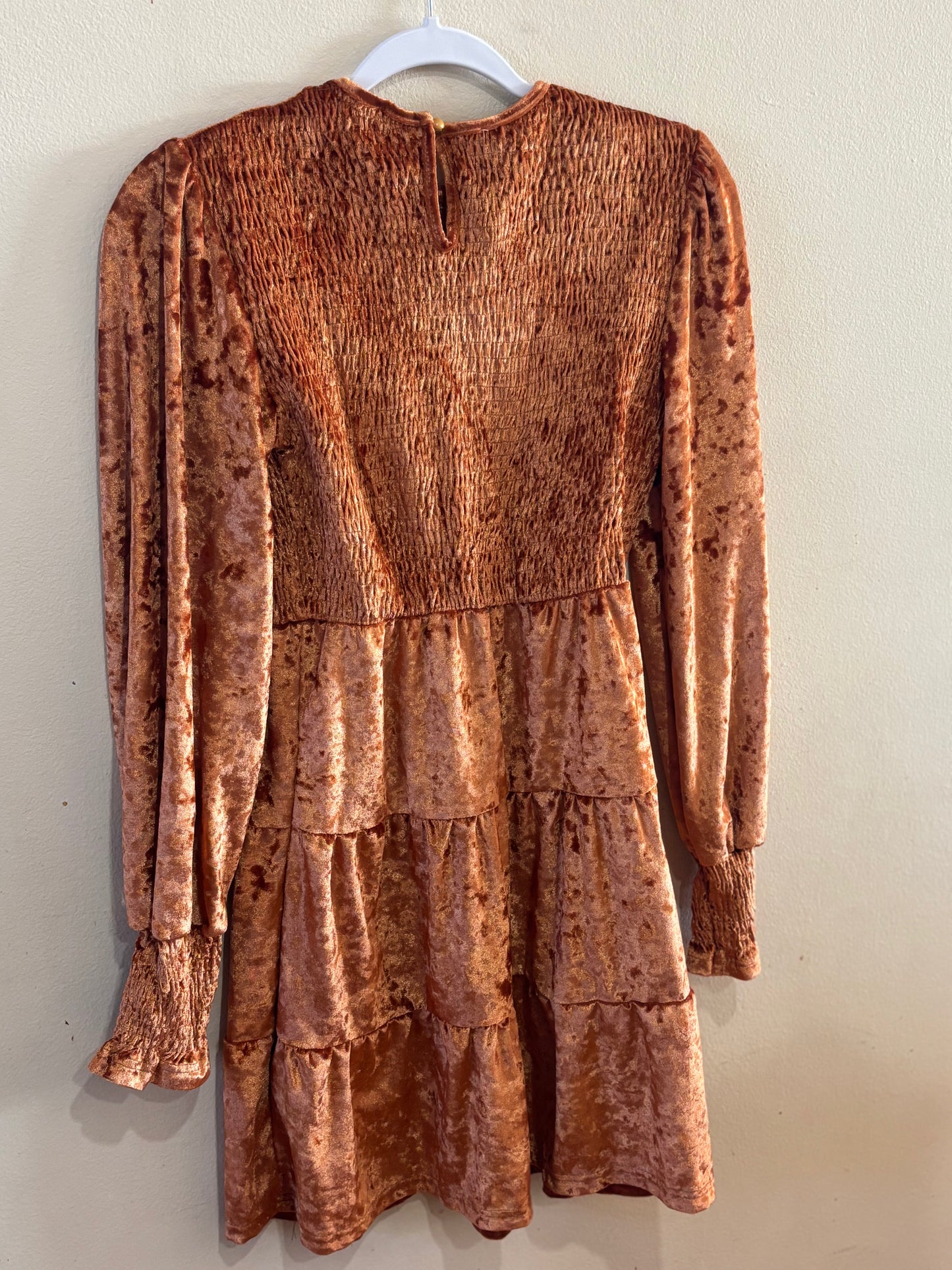 Brown Solid Velvet Smocked Long Sleeve Mini Dress