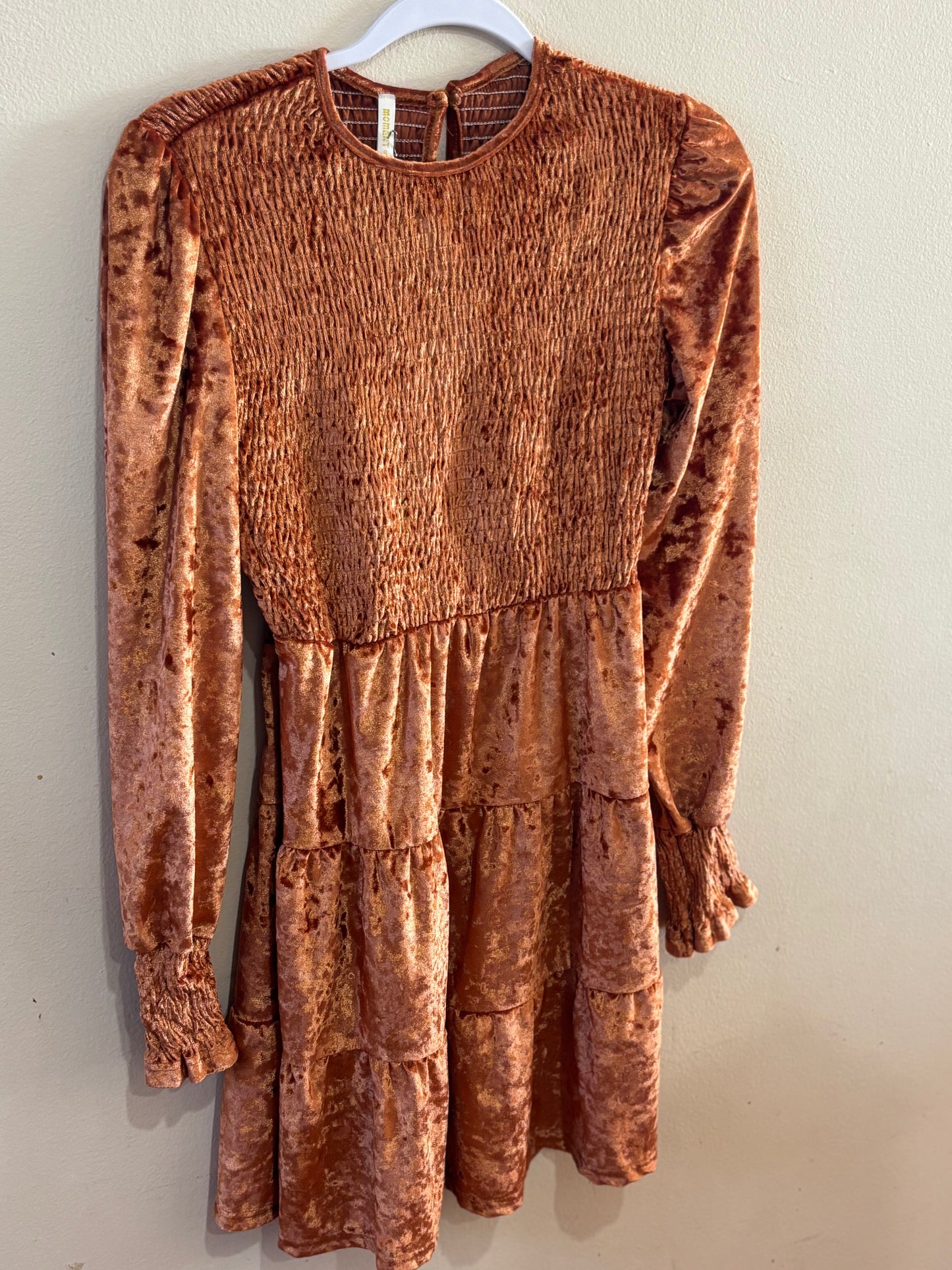 Brown Solid Velvet Smocked Long Sleeve Mini Dress