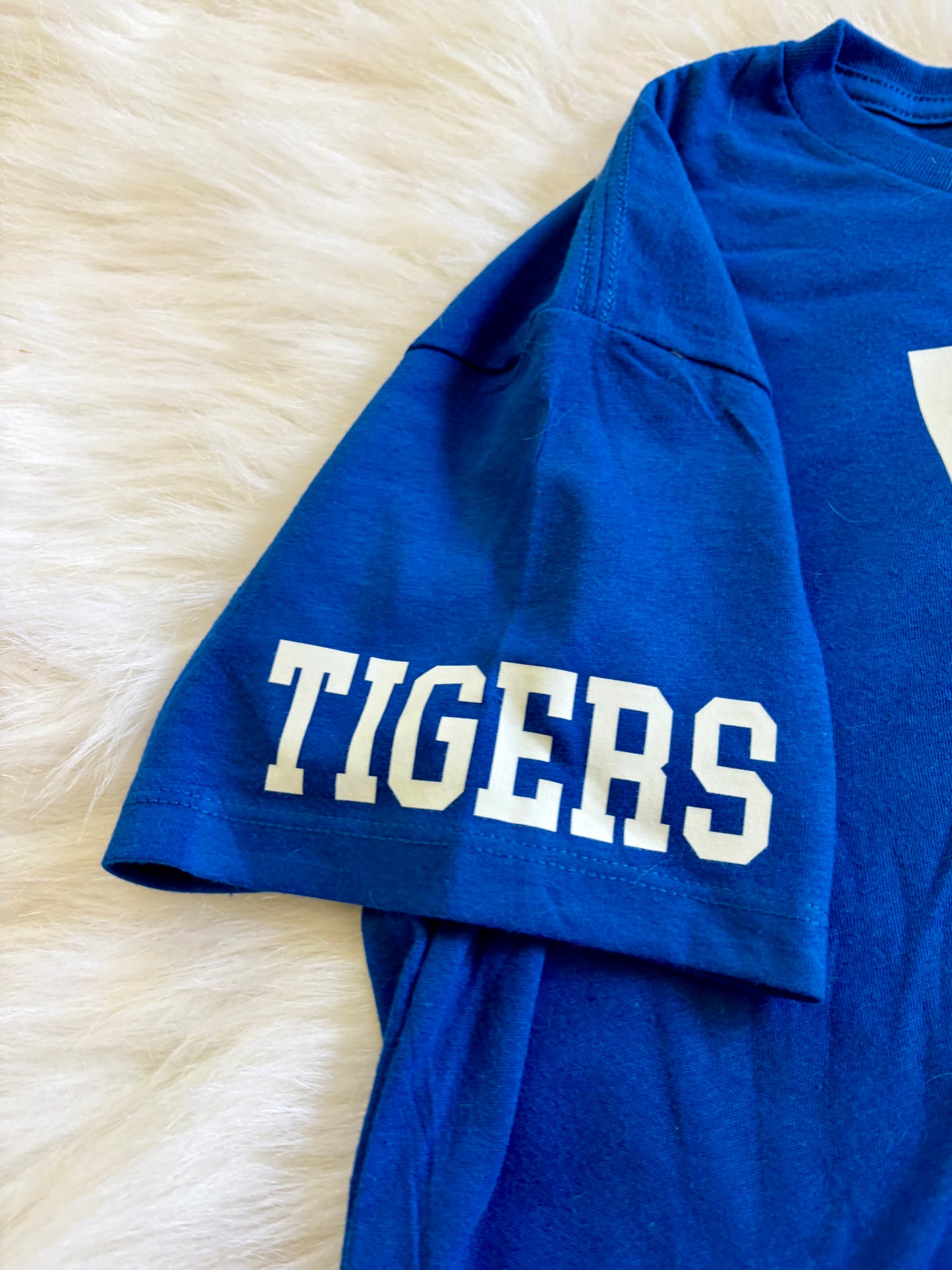 Princeton Tigers Crop Tee